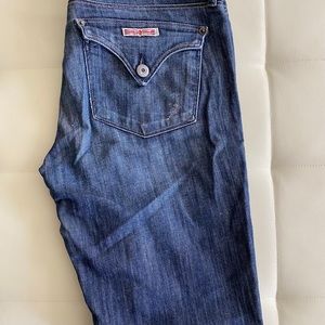 EUC Hudson Flared Jeans